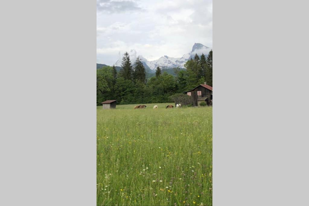 Vila Chalet Alliance Entre Calme Et Plaisir Morillon Exteriér fotografie